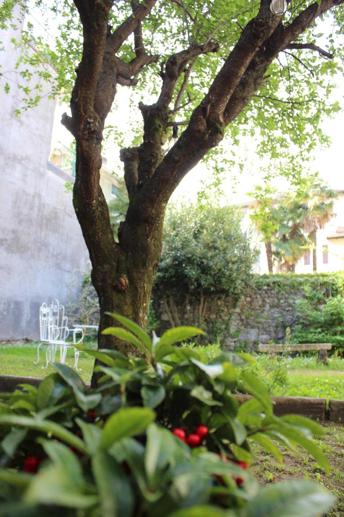 Appartement La Casa Di Tita Stresa Extérieur photo